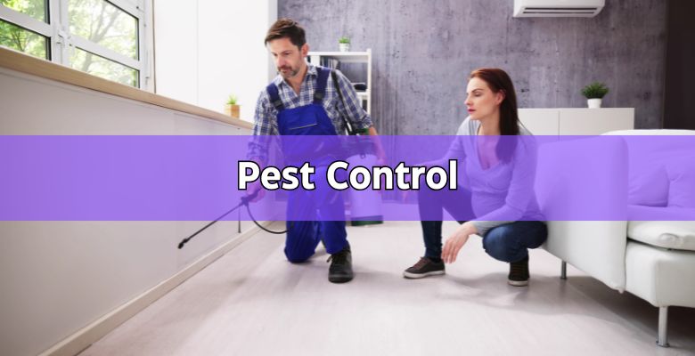 pest control